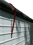 Tarp Cords